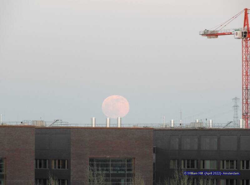 Now we can see how these balloons are made