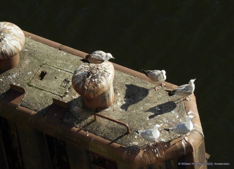 visiting family on second easter day