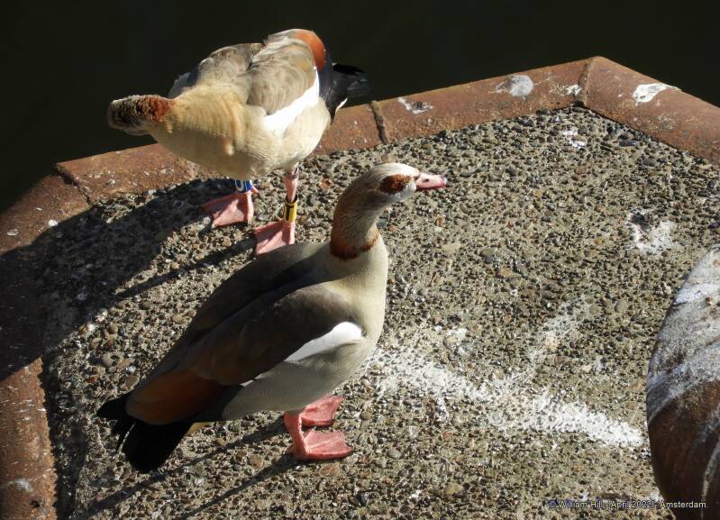 Aaaah it&#039;s nice in the sun