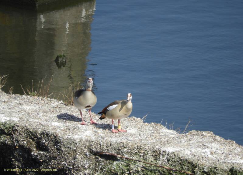 than turnaround.. and look to the guy with the photo-camera