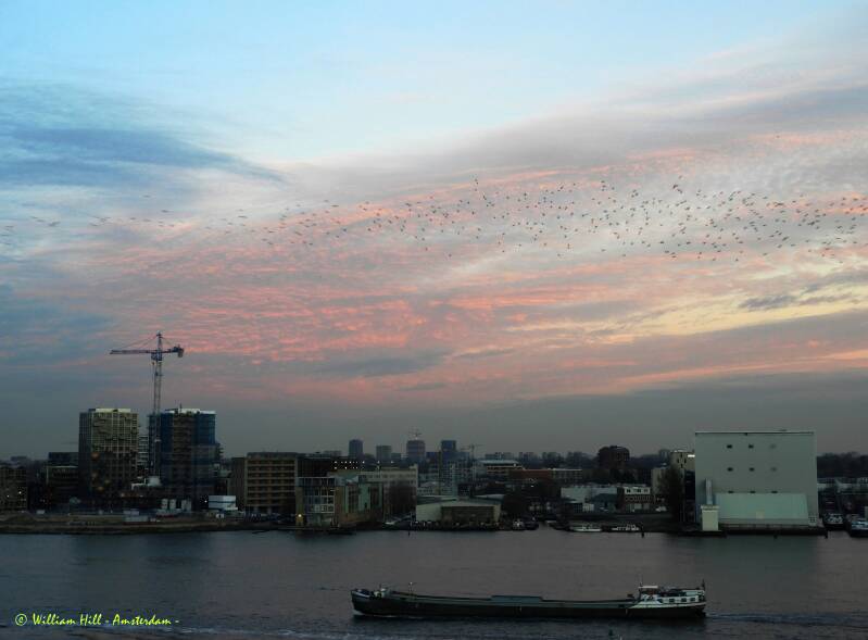 And while the sun is going down behind me, we see the last light of the day when hundreds of birds passing, going South