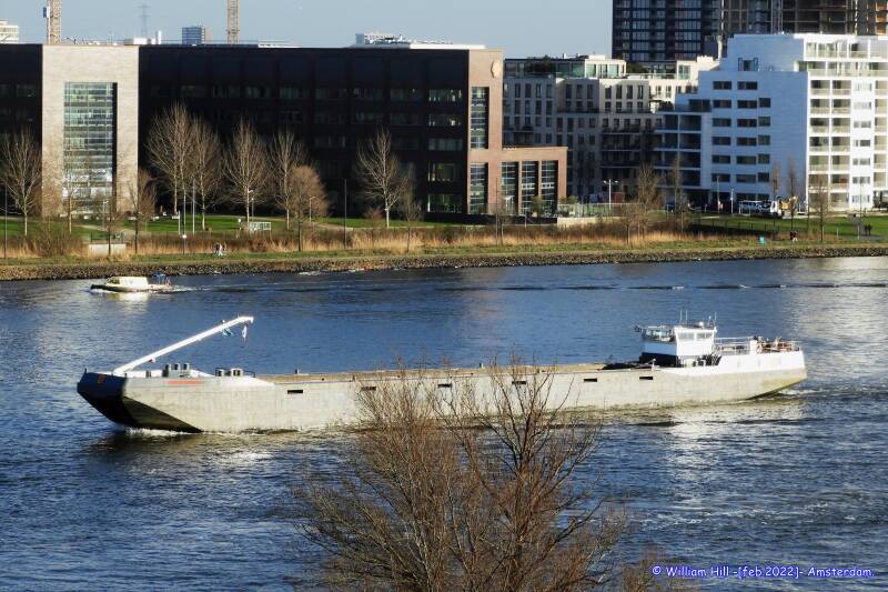 See-through tree and KADIMA