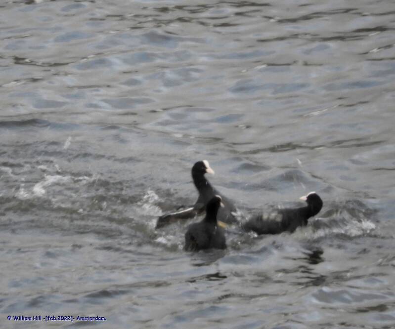 that&#039;s going to be a fight!