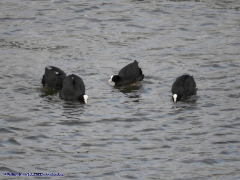 and ... like nothing happened...