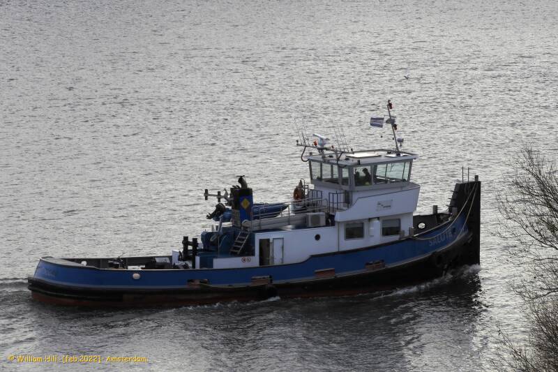 (8) - tug SALUTÉ