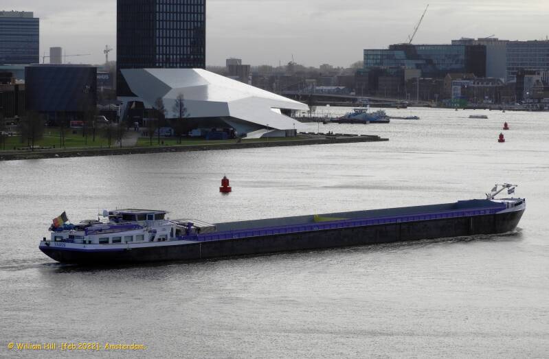 and purple cargo YARIS