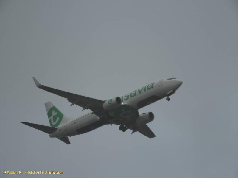 and bouncy it was up there