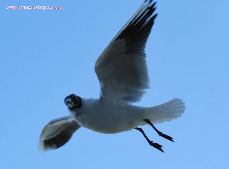 "Hi.. long time no see, hungry?"