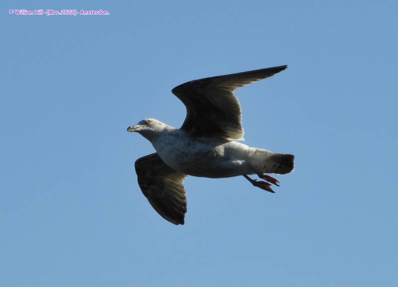 "wow...,  you are gorgeous!"