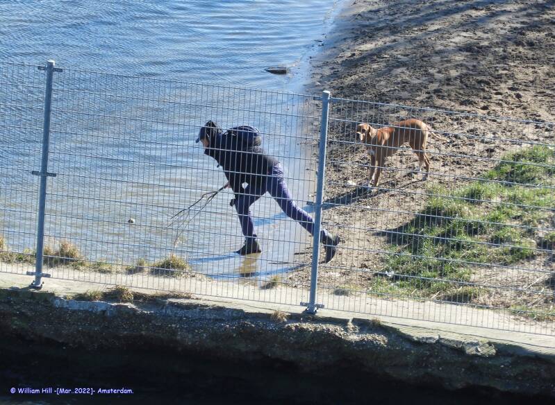 when your dog expects you to get the ball