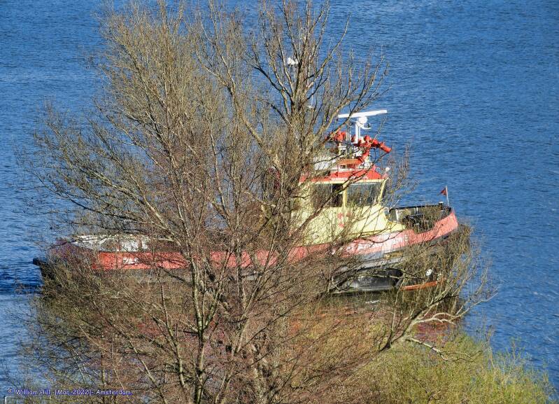 (17) - Behind the tree, PA5