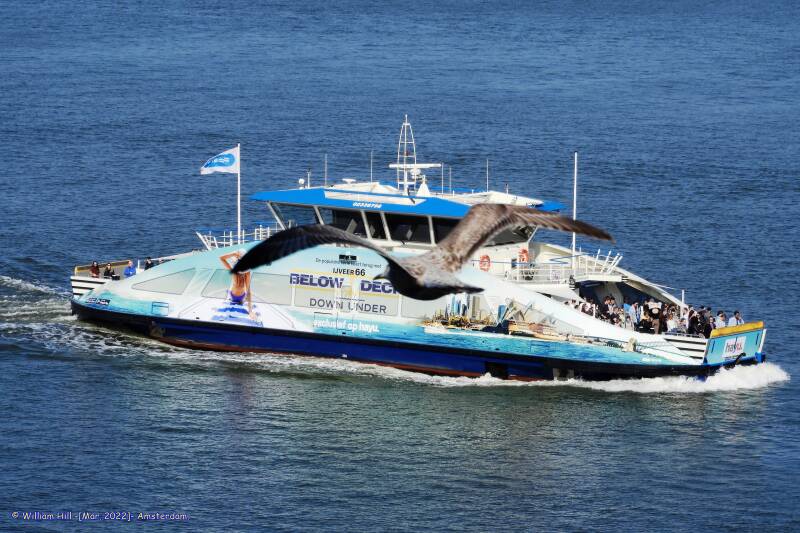 IJVEER 66 with seagull