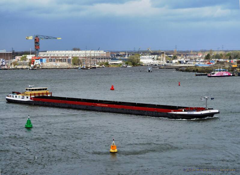 (07) - cargo ORCHILA