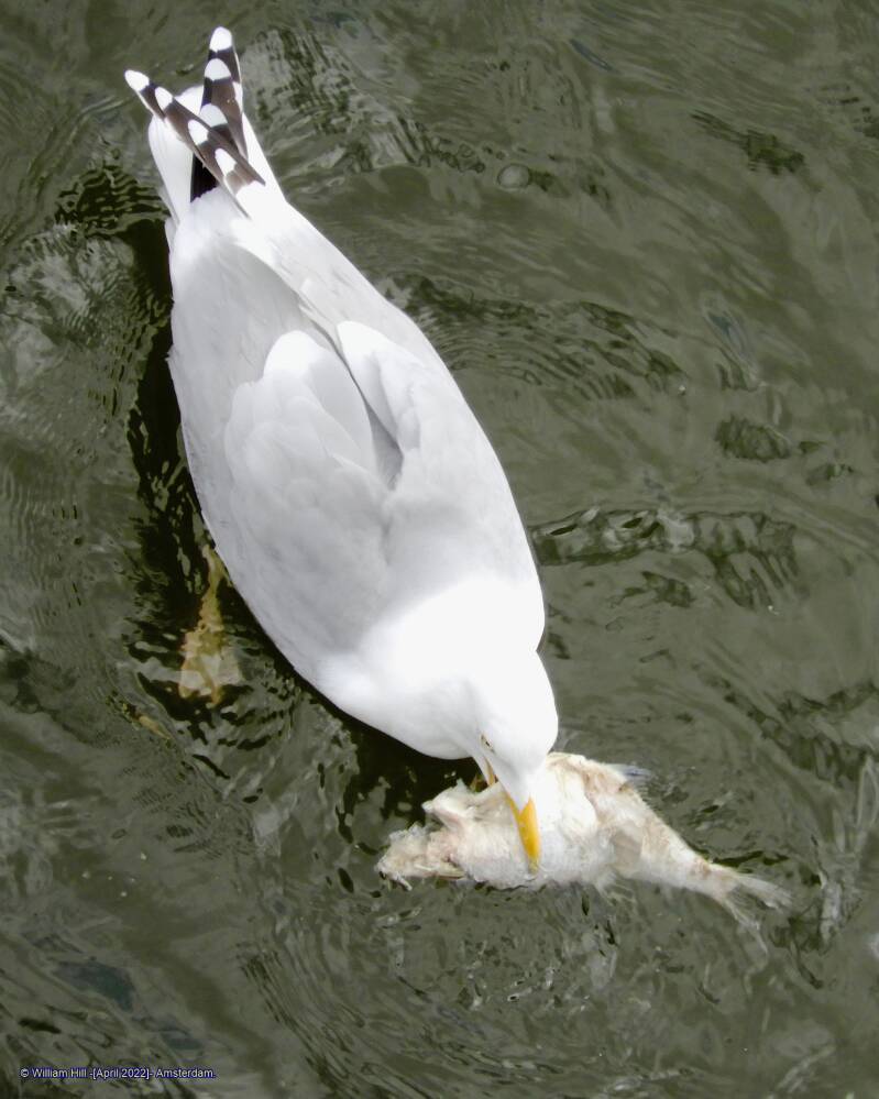 and stop sinking all the time..!