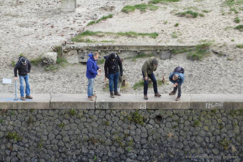 still... watching ferns