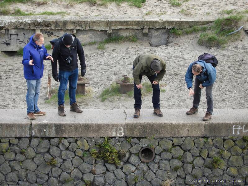 looking to and talking about these small plants