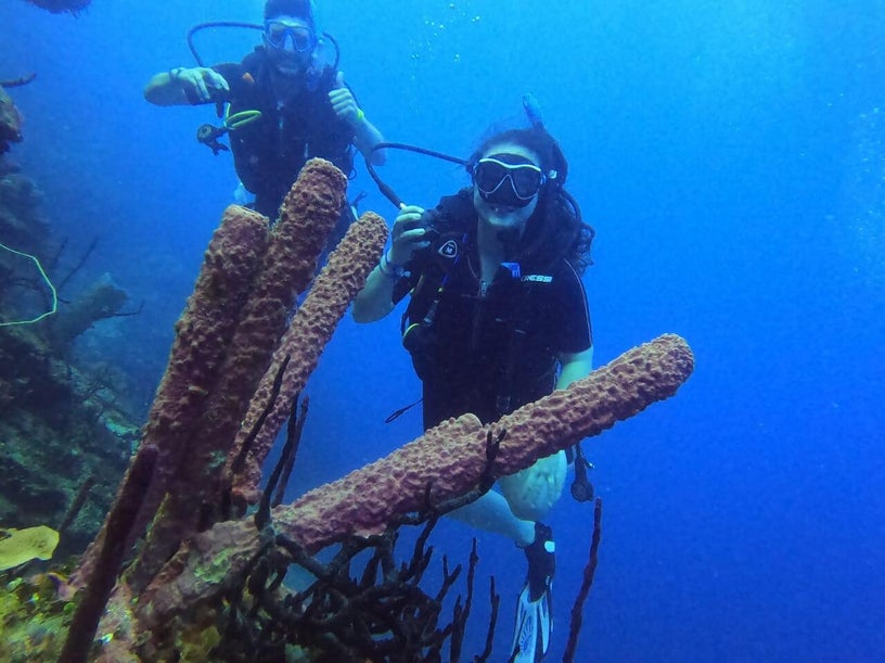 Certified scuba divers exploring coral reefs underwater in Punta Cana, Dominican Republic