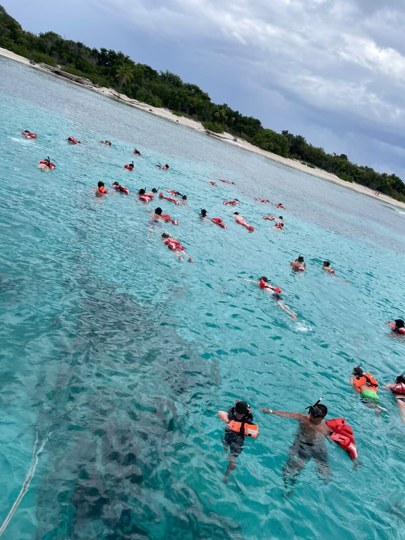 Guests snorkeling in the clear Caribbean waters of Catalina Island