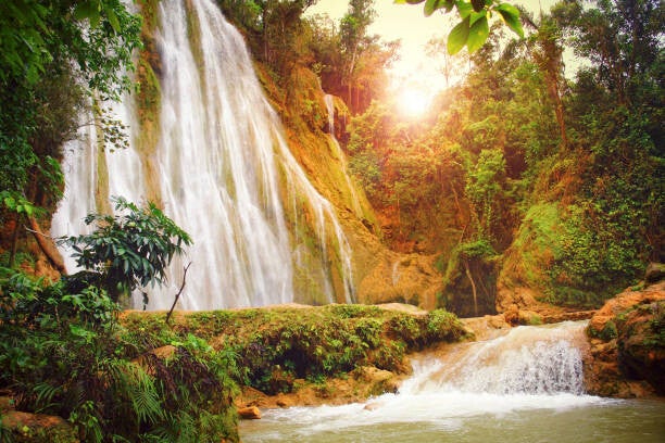 El Limón Waterfall in Samaná