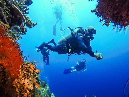 The Wall Catalina Island diving Punta Cana