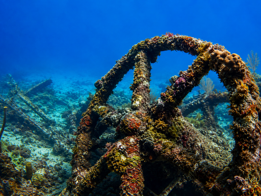 Monica Wreck diving in Punta Cana