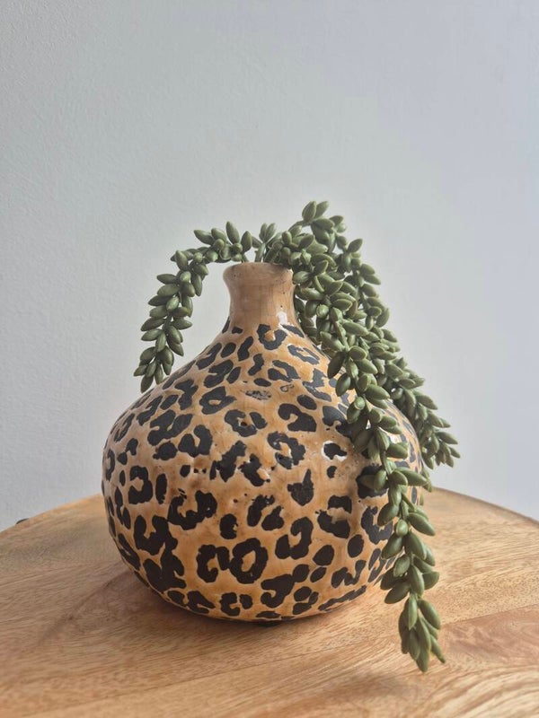 Panter pot bol