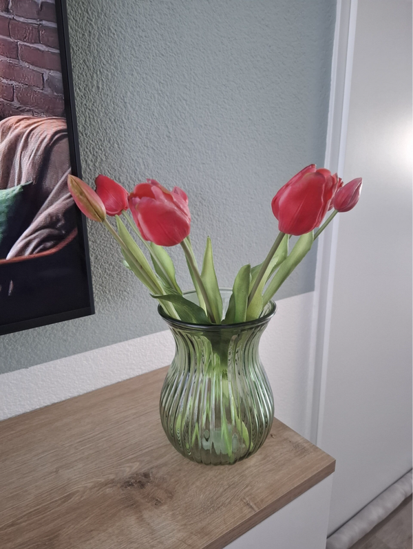 Tulpen roze lang