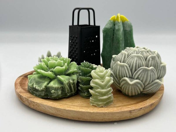 Houten bordje met vetplantjes