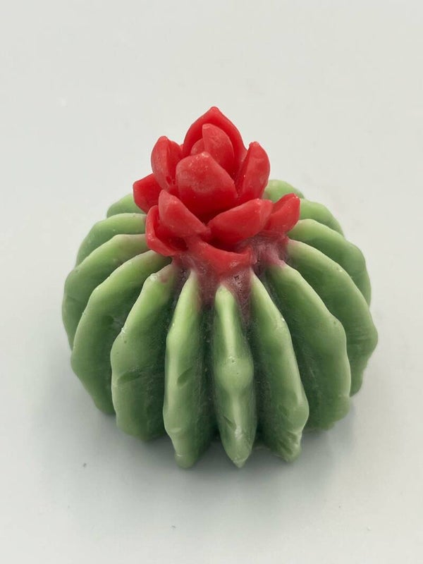 Succulent met bloem 3