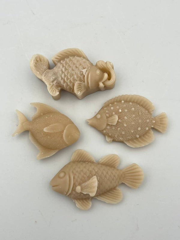 Tropische visjes 4 stuks zand