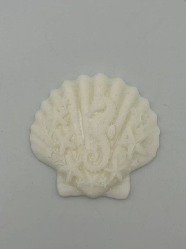 Grote platte schelp wit