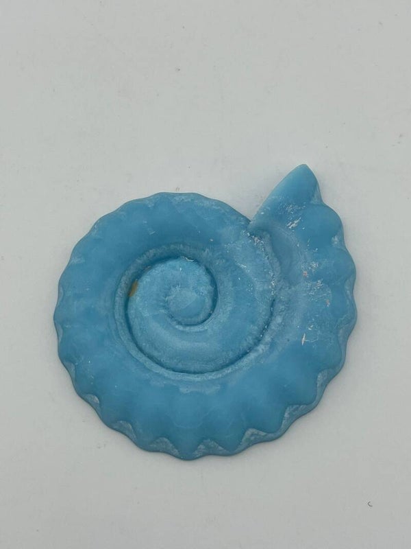 Grote slakkenschelp blauw