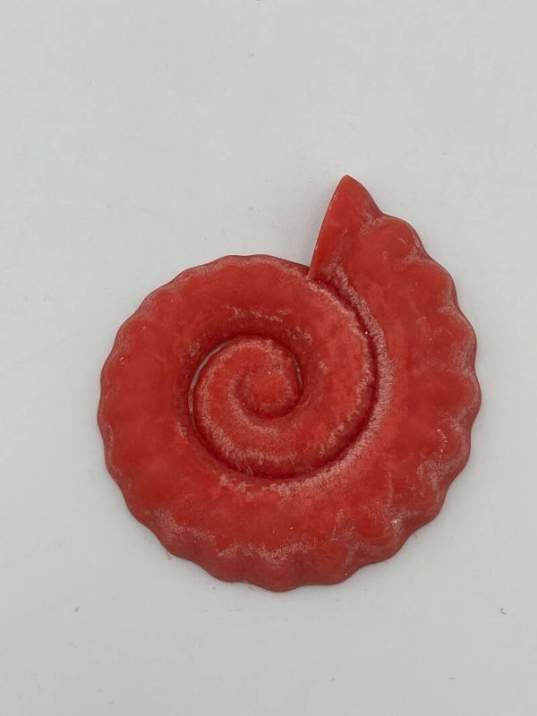 Grote slakkenschelp rood