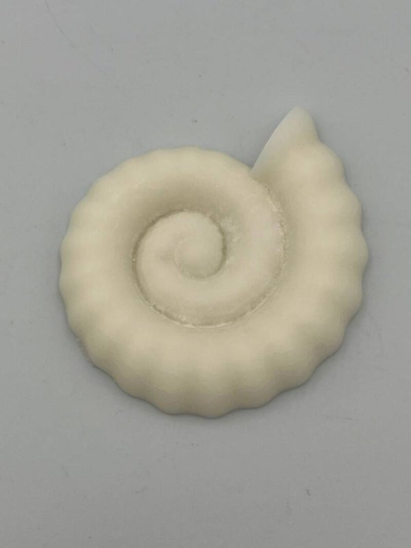 Grote slakkenschelp wit