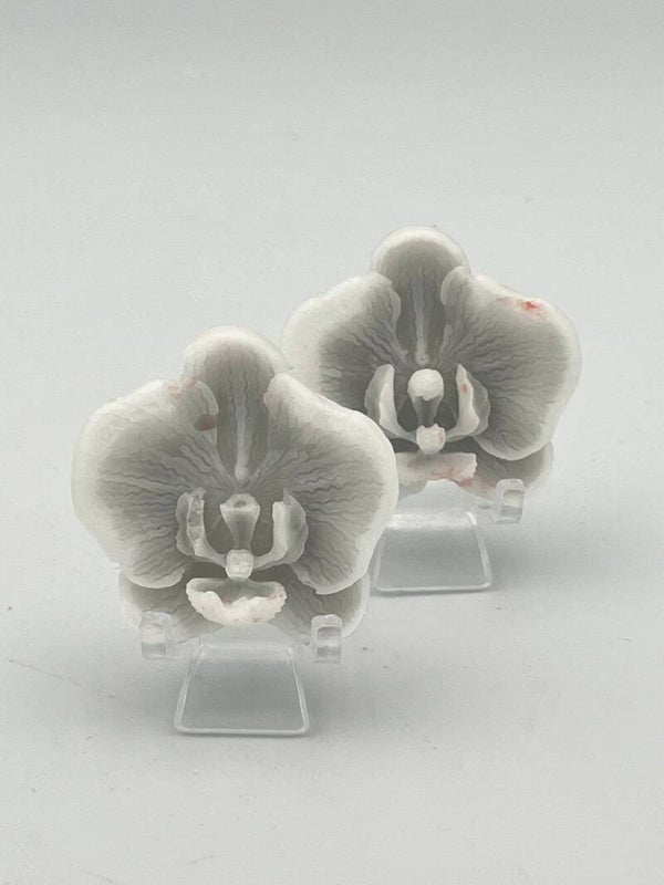 Kleine orchidee 3 stuks