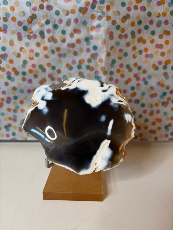 Ruwe orca met standaard