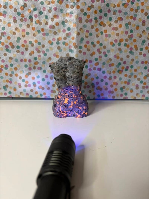 Ladybody yooperlite