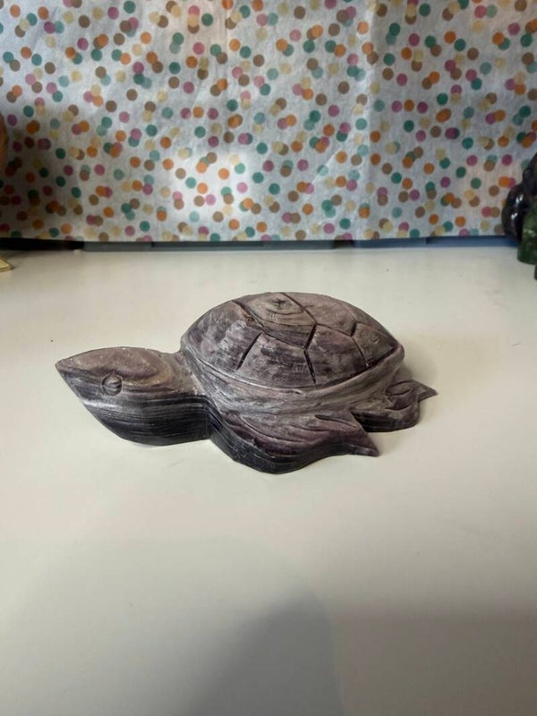 Paarse mica schildpad