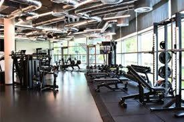 Plan de Entrenamiento