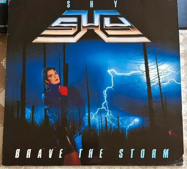 shy - brave the storm