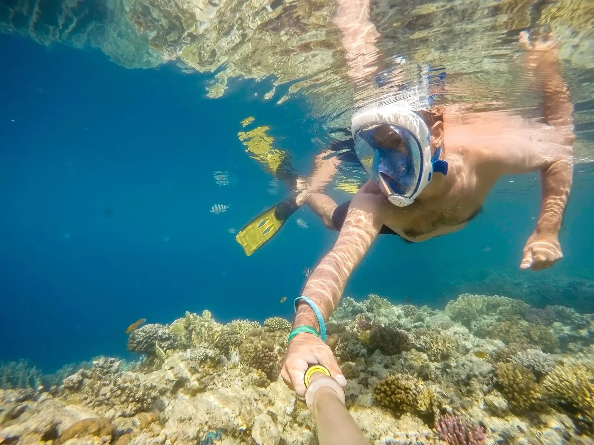 Luxury Isla Mujeres Snorkeling