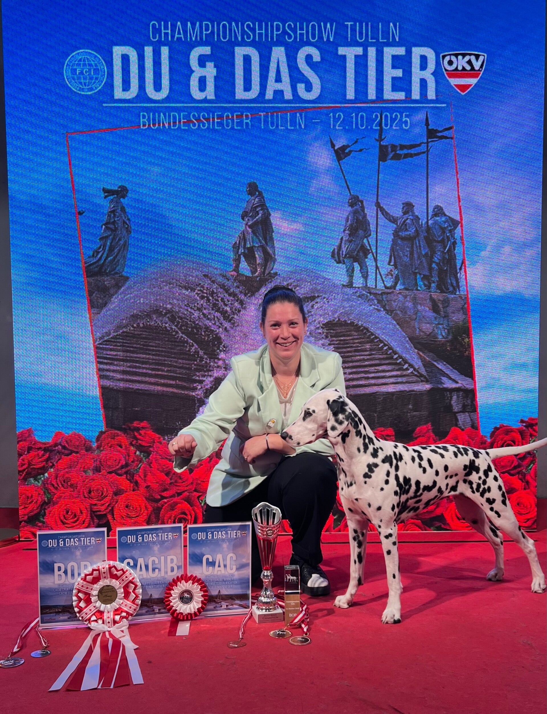 Dalmatische hond dogshow/ Internationaal Kampioen/ Dalmacademy's Perfect Picture