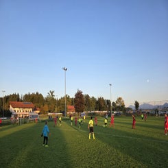 25-03-10-2025_18-standard.jpg