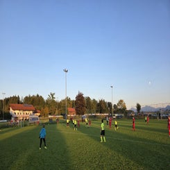 25-03-10-2025_19-standard.jpg