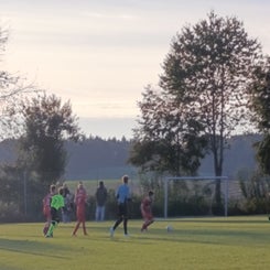 25-03-10-2025_25-standard.jpg