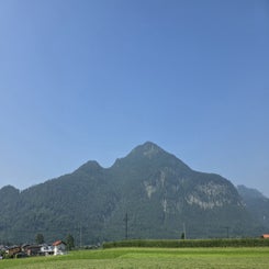 25-11-08-2025_07-standard.jpg
