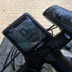 25-11-08-2025_23-standard.jpg