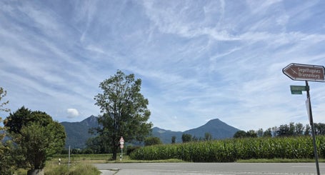 25-25-08-2025_03-standard.jpg