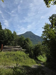 25-25-08-2025_10-standard.jpg