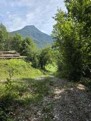 25-25-08-2025_11-standard.jpg